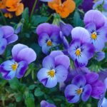 IMG_20240406_023325